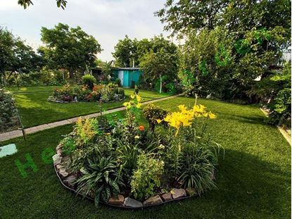 Озеленение участка в Киеве, благоустройство участка в Киеве, озеленение участка в Киевской области, благоустройство территории в Киевской области