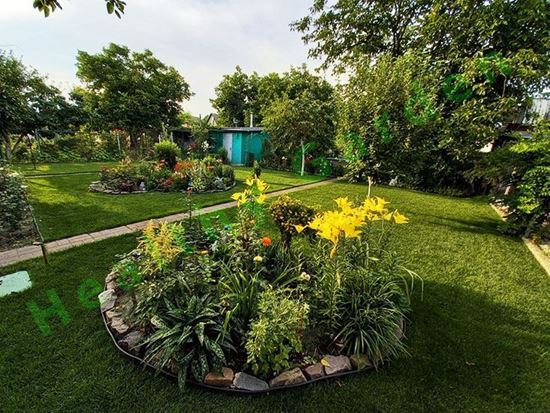 Озеленение участка в Киеве, благоустройство участка в Киеве, озеленение участка в Киевской области, благоустройство территории в Киевской области