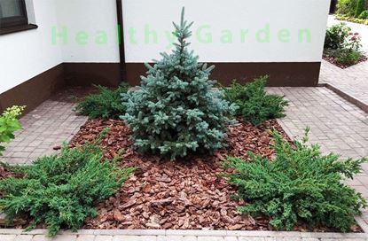 Мульчирование клумб, мульча для клумб, кора для мульчирования клумб