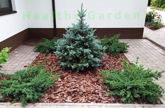 Мульчирование клумб, мульча для клумб, кора для мульчирования клумб